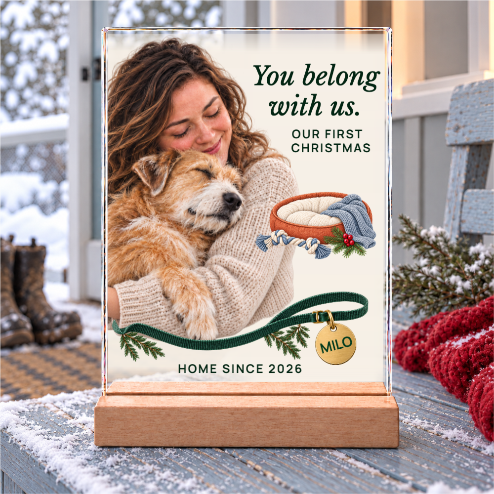 Q1_YOUBELONG