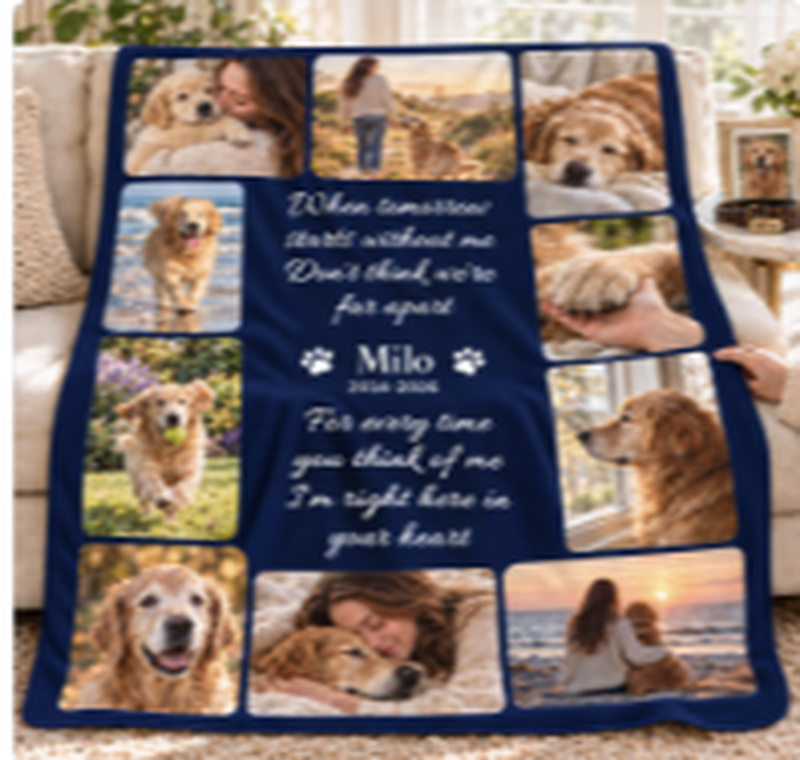 cover_petmemo