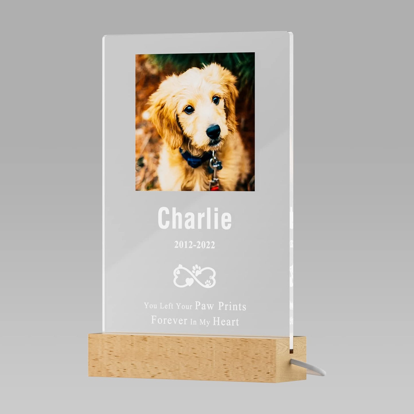 Customized Personalized Pet Photo Memorial Night Light