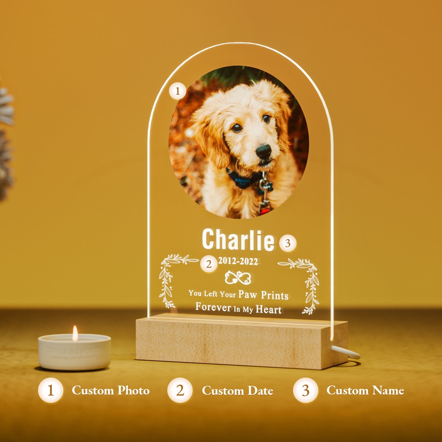 Custom personalized pet memorial nightlight with photo, name and date