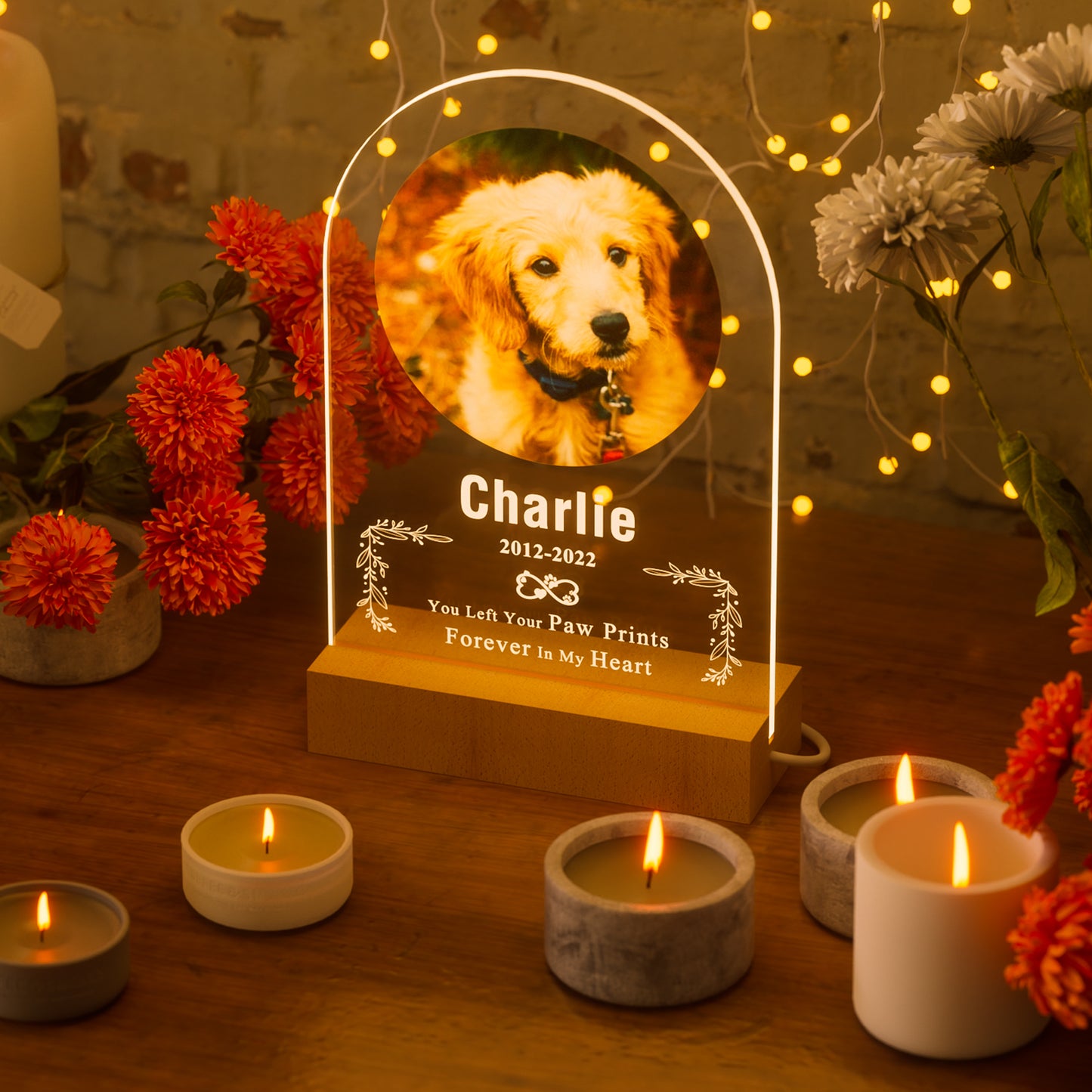 Custom personalized pet memorial nightlight with photo, name and date
