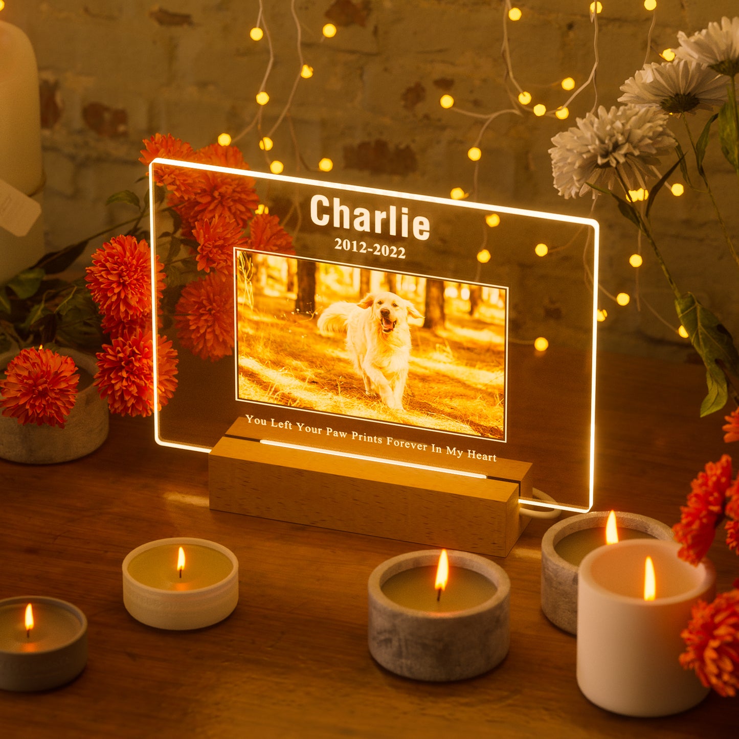 Custom Personalized Pet Memorial Night Light Plaque