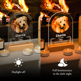 Custom personalized pet memorial nightlight with photo, name and date