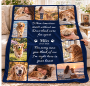 cover_petmemo