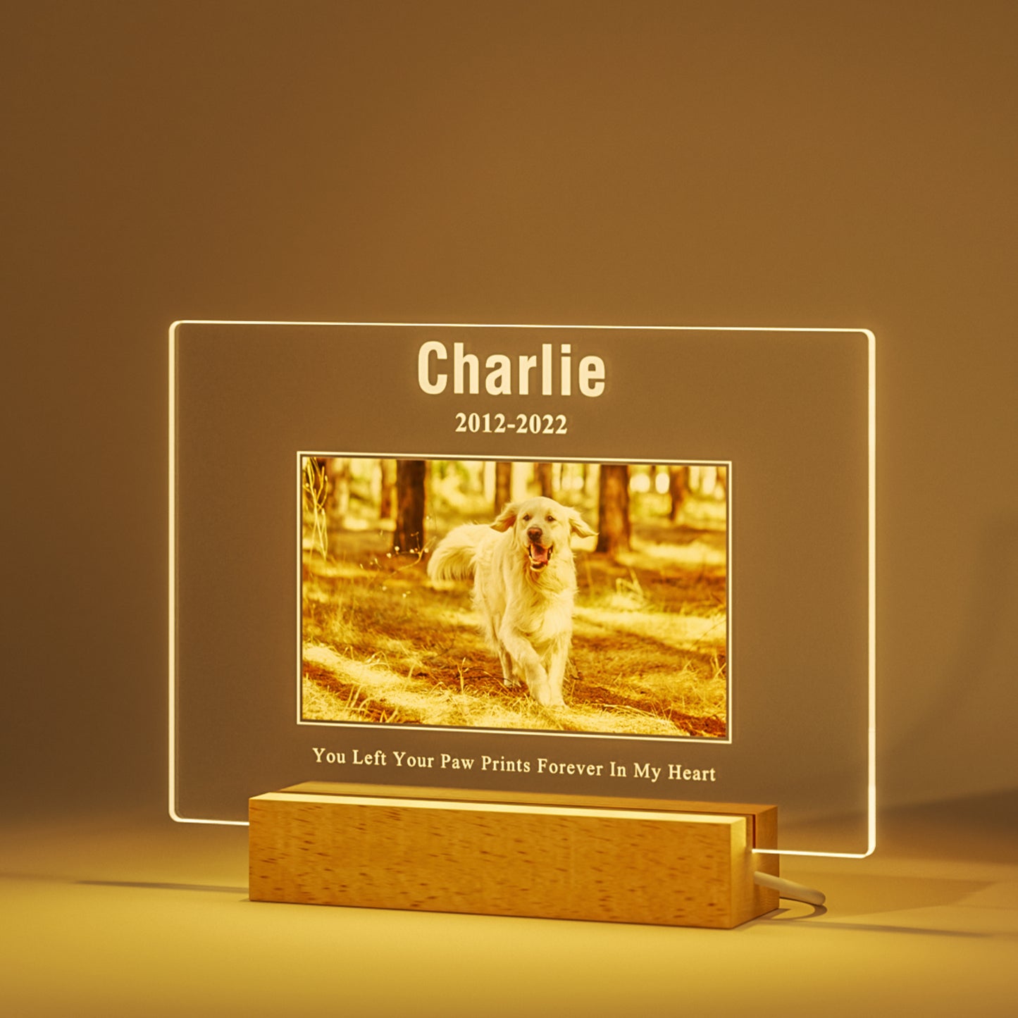 Custom Personalized Pet Memorial Night Light Plaque