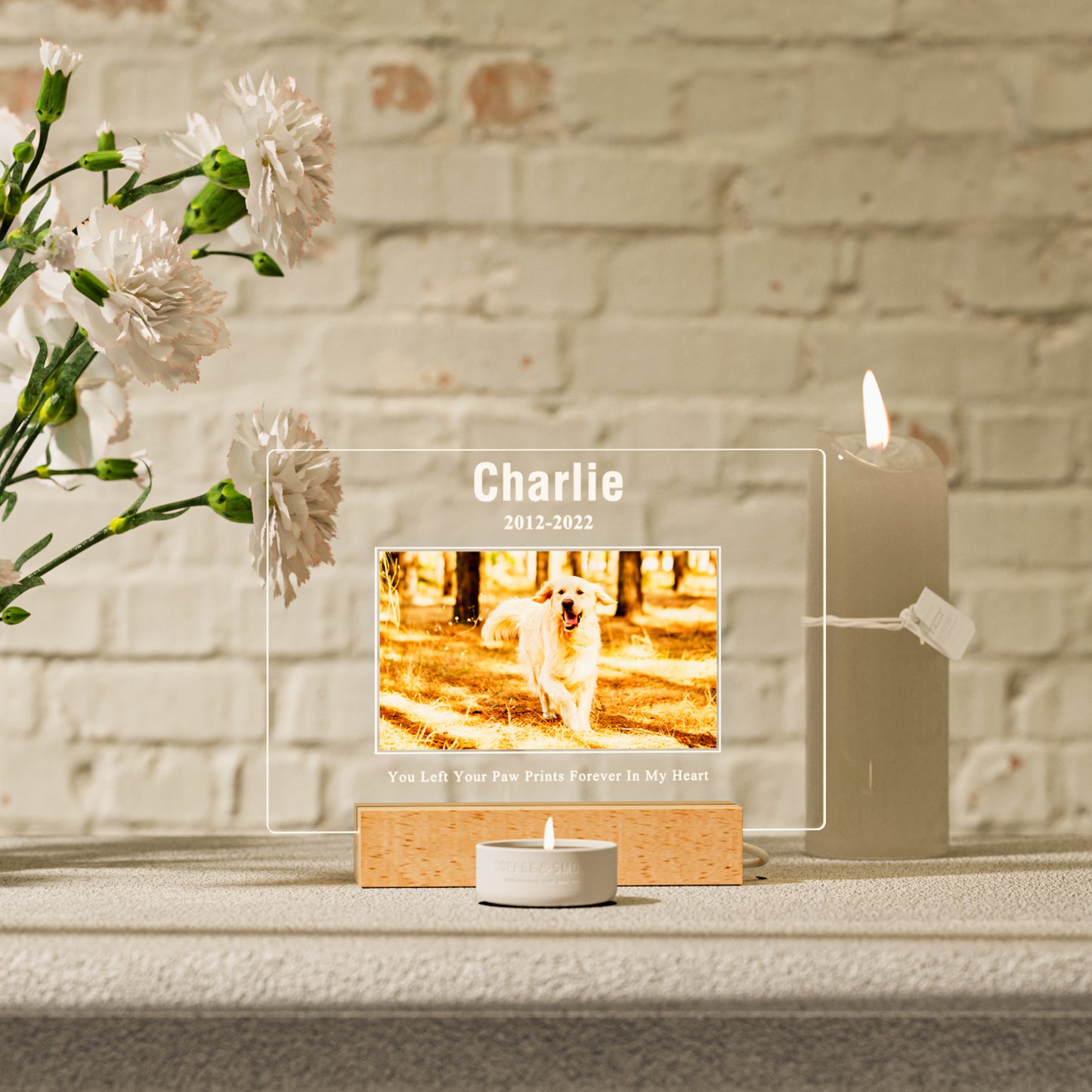 Custom Personalized Pet Memorial Night Light Plaque