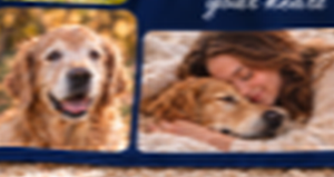 Bottom row of photos on the pet memorial blanket