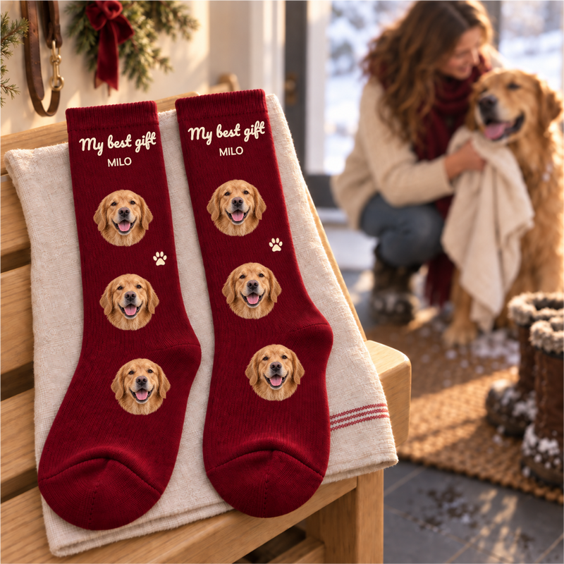 The Best Gift Has Paws Pet Socks styled in a real home, not a studio