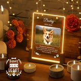 Personalized Cat Funeral Condolences Pet Memorial Gifts, Custom Gifts