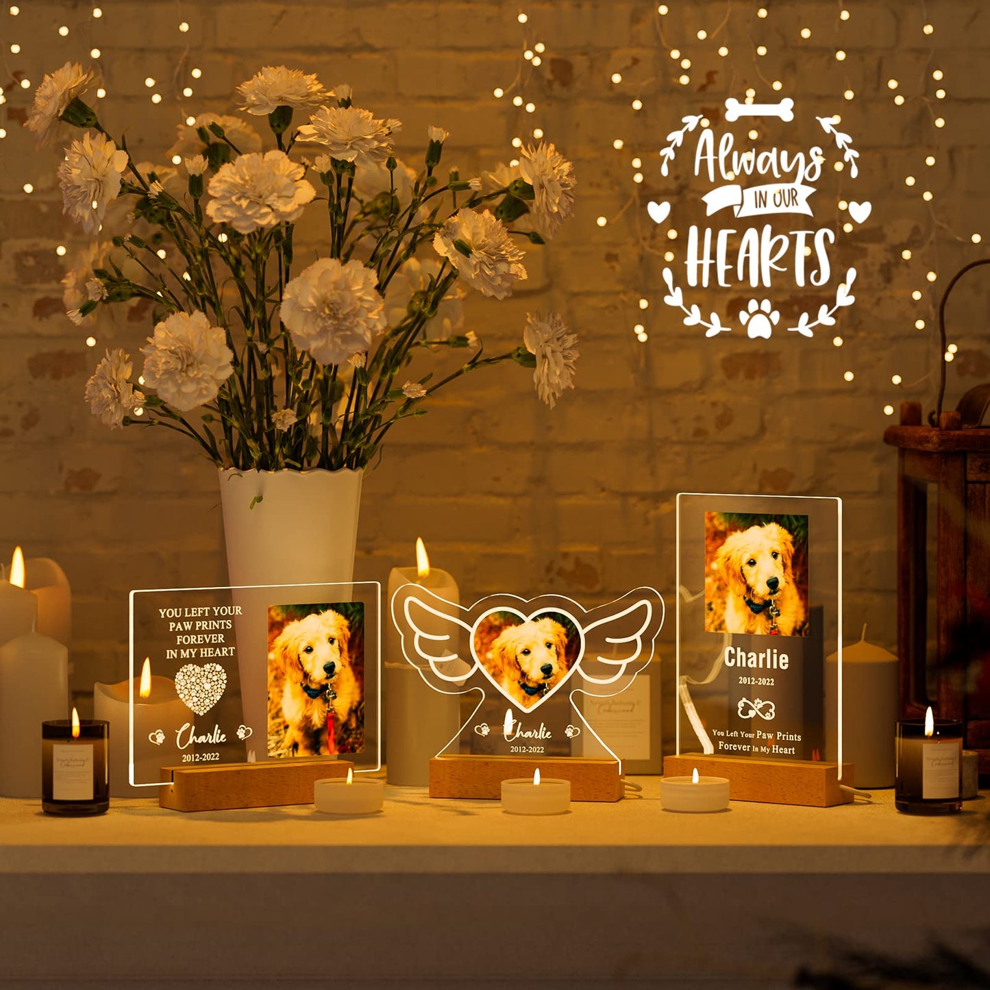 Customized Personalized Pet Photo Memorial Night Light