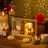 Personalized Pet Memorial Night Lights, Custom Pet Memorial Gifts
