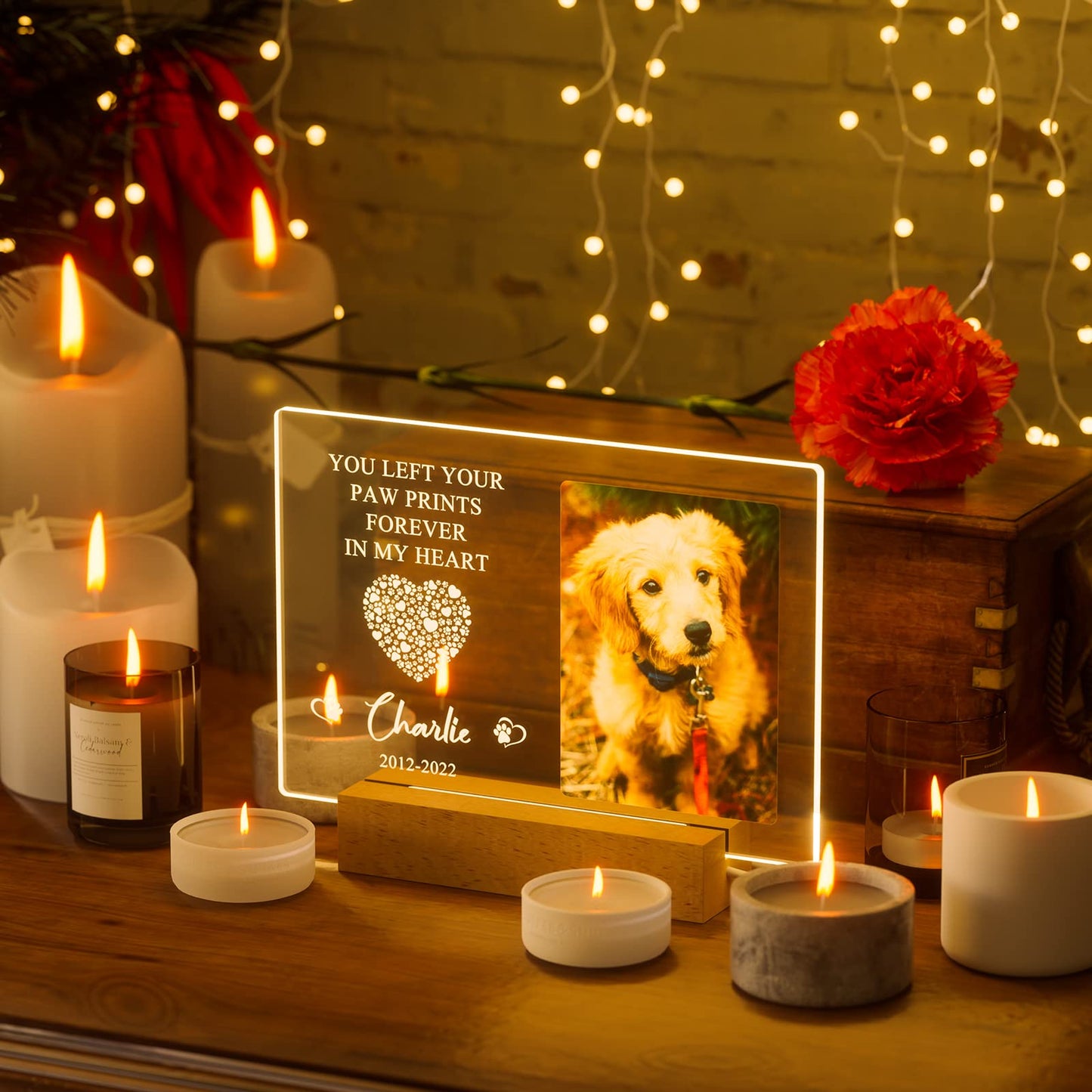 Customized Personalized Pet Photo Memorial Night Light