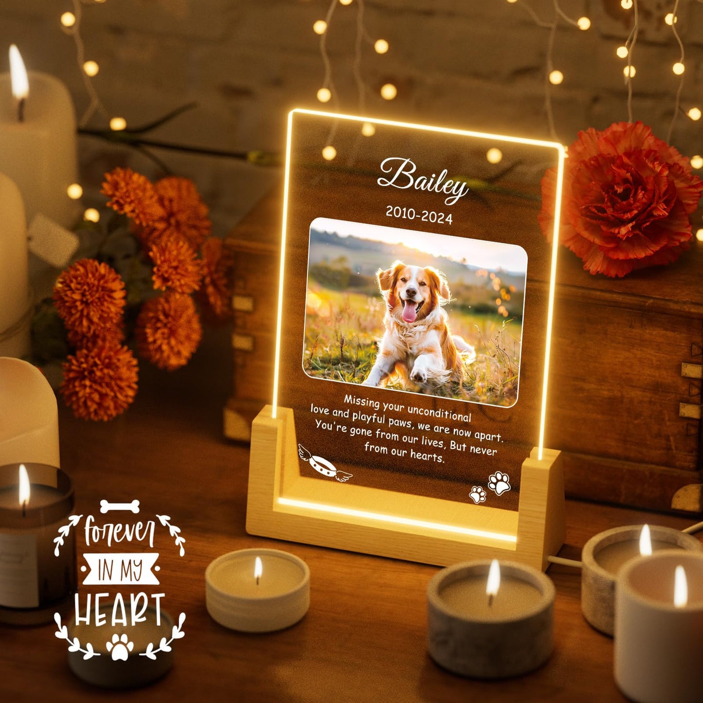 Personalized Pet Customized Memorial Gift Night Light