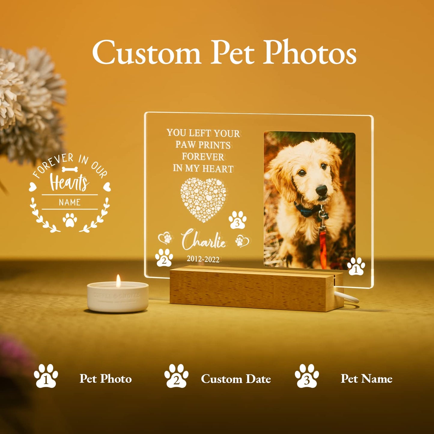 Customized Personalized Pet Photo Memorial Night Light