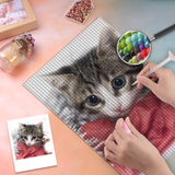 Custom Pet Cat Photo Full Drill Diamond Painting